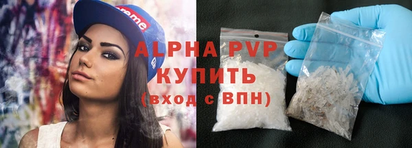 альфа пвп Новодвинск