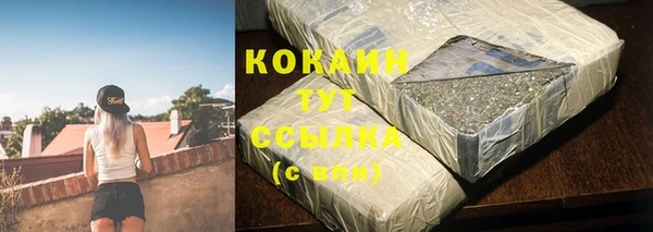 гашик Нефтекумск