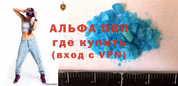 соль ск Новозыбков