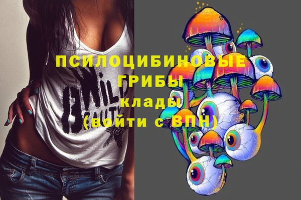соль ск Новозыбков