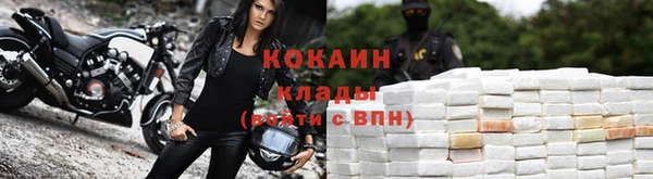 соль ск Новозыбков