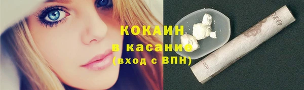 альфа пвп Новодвинск