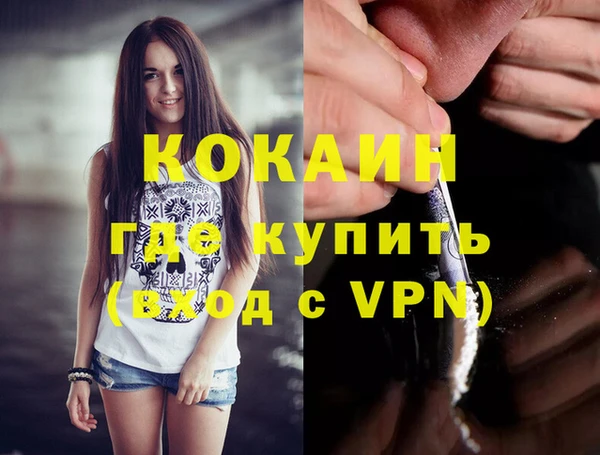 соль ск Новозыбков