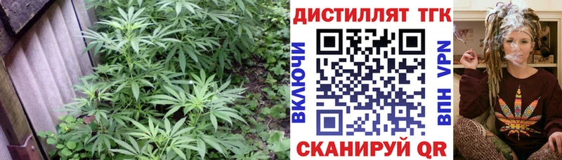 даркнет наркотические препараты  Межгорье  ТГК жижа  где продают  