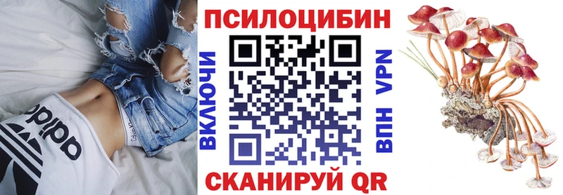 купить наркоту  Межгорье  hydra маркетплейс  Псилоцибиновые грибы мухоморы 